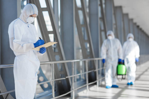 Best Water Damage & Mold Remediation  in Newport, WA